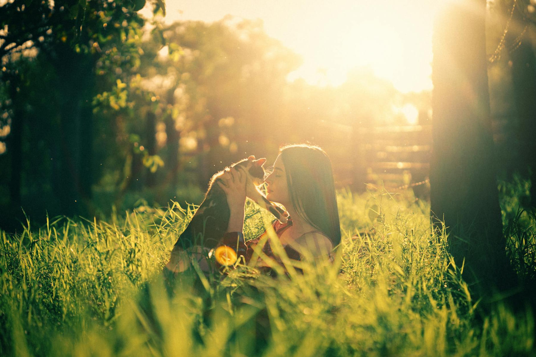 A woman lovingly embraces her pet dog in a sunlit park during sunrise. on Happy Paws Daily