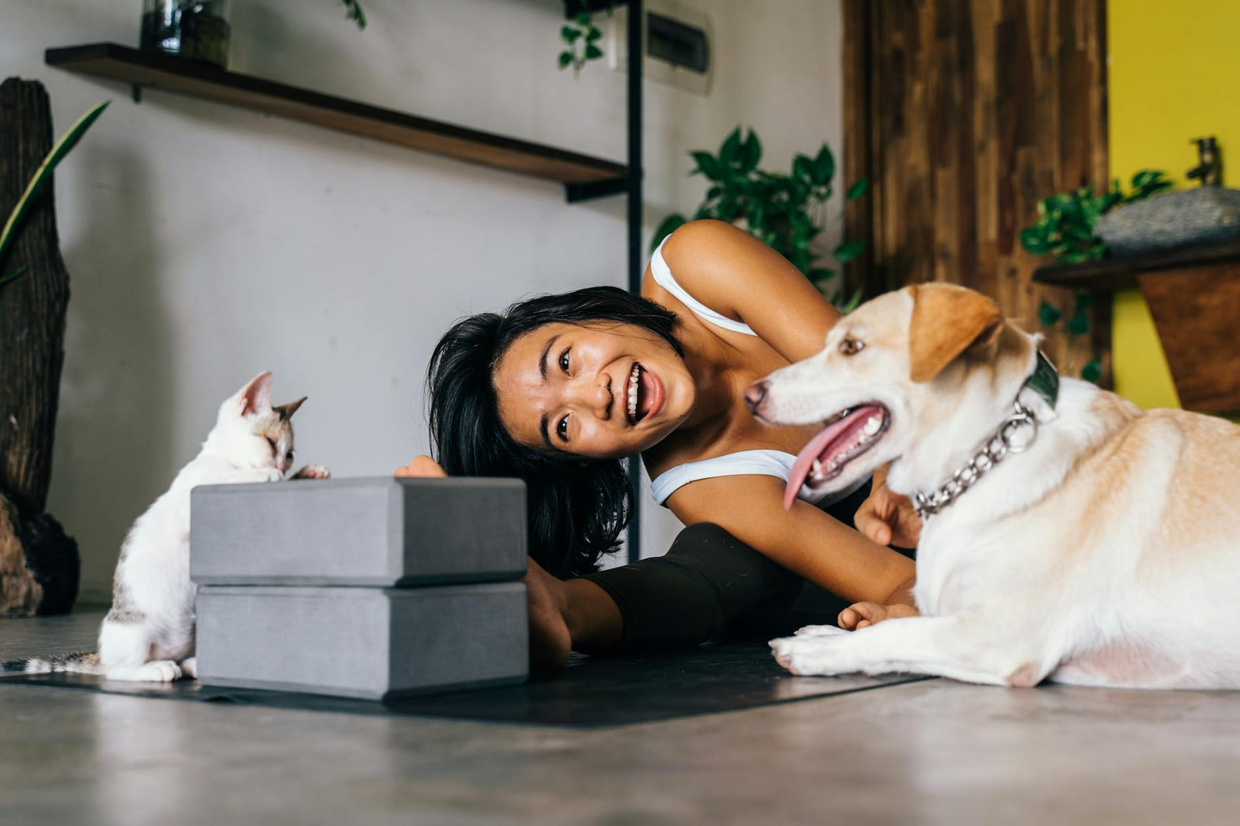 Smiling woman practicing yoga indoors with her dog and cat, embracing a healthy lifestyle. on Happy Paws Daily